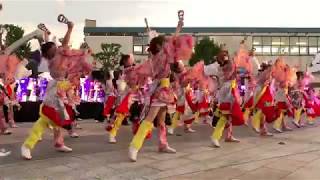 桜道里『よっとっ鳥取』鳥取しゃんしゃん祭り前夜祭2019.8.13