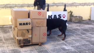 KAS PUMP BOX AIRPORT