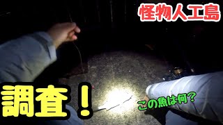 怪物人工島の夜は何釣れる？調査してみた！！！