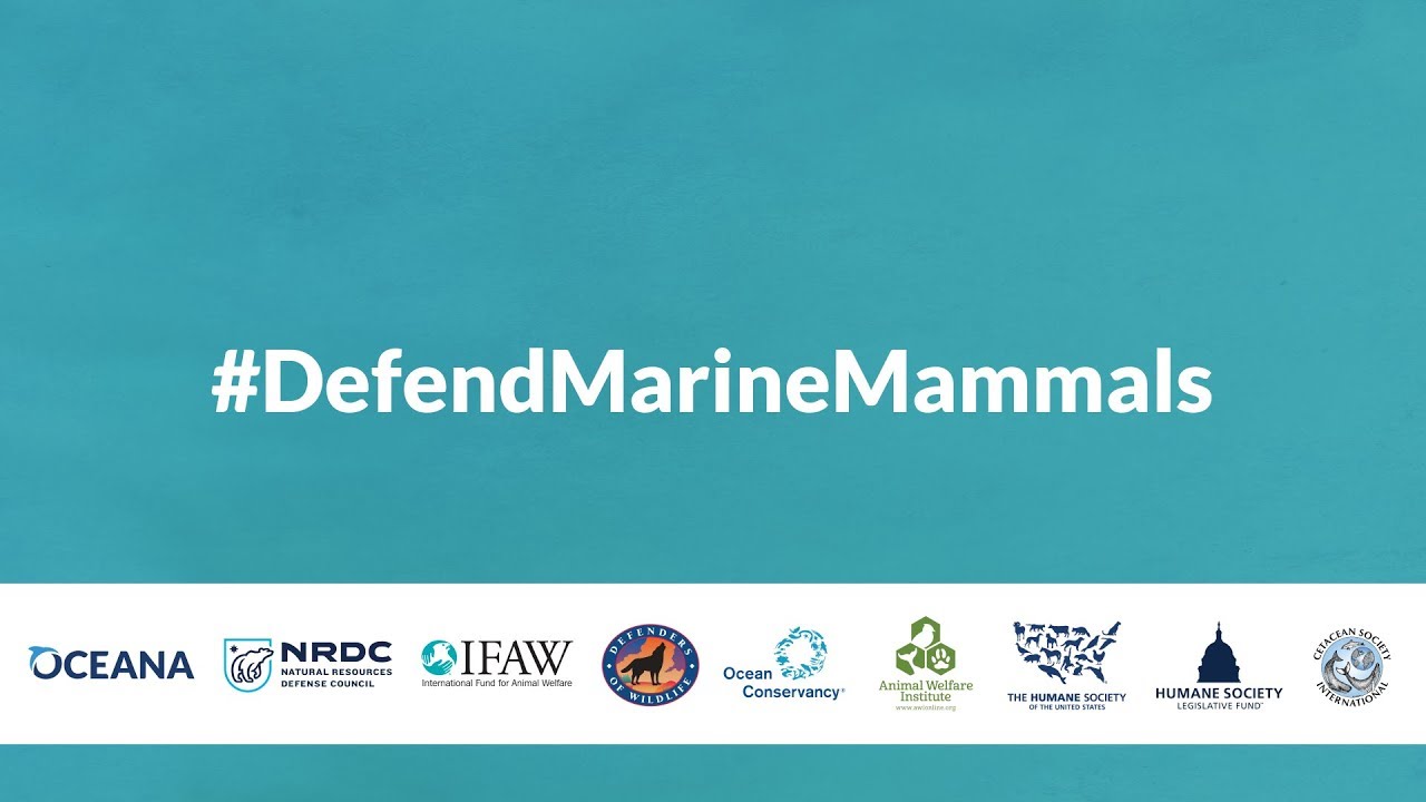 Defend The Marine Mammal Protection Act - YouTube