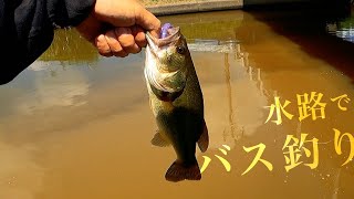 Two Days of Bass Fishing in Kasumi Waterway in summer JAPAN