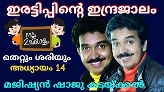 ഭാഷയിലെ തെറ്റും ശരിയും/ അധ്യായം 14/ ഇരട്ടിപ്പിന്റെ ഇന്ദ്രജാലം  /നല്ല മലയാളം/Shaju Kadakkal Malayalam