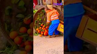 Uh Oh! Cutis Pays the Price After Dropping Tangerines! #payment  #cutis #monkey #funny