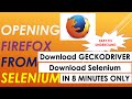 Execute Selenium WebDriver commands on Firefox using JAVA