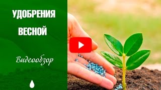 Какие удобрения вносить весной? Азотные удобрения.