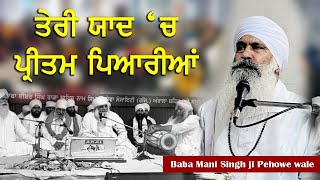 Teri Yaad Wich Pritam Pyaarya | Baba Mani Singh Ji Pehowa Wale