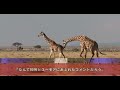 【現地映像】ベイカー氏の“大谷愛”溢れる名スピーチの一部始終【日本語字幕】