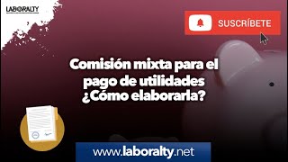 ¿Cómo se elabora una comisión mixta para el pago de las utilidades de tu personal?