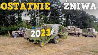 Ostatnie ŻNIWA 2023 w GR Mokrzyn🌾Kosimy Przenżyto😍 Akcja na 3 kombajny😲