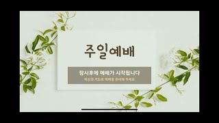 20240804 정읍한빛교회 주일 2부 예배