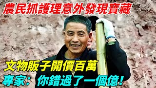 農民抓護理意外發現寶藏，文物販子開價百萬，專家：你錯過了一個億！【此奇非彼其】#案件#解說#懸疑#真實故事#案件#奇聞#秘事#民間故事#奇聞#故事#奇聞觀察室#案件解讀#銀元#鑒寶#古玩#考古