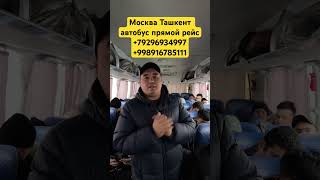 Москва Ташкент автобус Санкт-Петербург Ташкент автобус #тезкор #мусофирлар #новости #тренды ￼￼