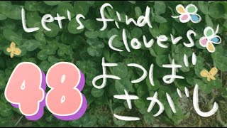 四葉はどこにあるのかな？その48　Let‘s find clovers！【part48】