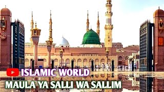 MAULA YA SALLI WA SALLIM | #islamicworld #naat #tanzeelkhan #cover