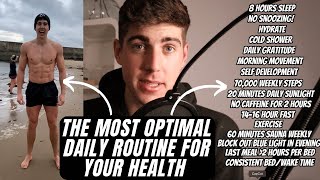 The Best Daily Routine To Optimise Your Physical & Mental Health (Backed By Science)