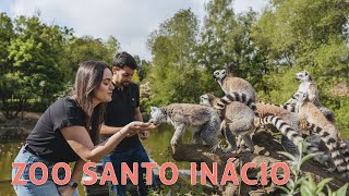 Zoo Santo Inácio já tem experiências VIP para descobrir o mundo animal