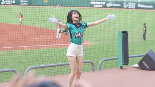 Wing Stars【李樂】藍寅倫應援《20240517統一獅VS台鋼雄鷹》台湾プロ野球 チアリーダー Taiwan Cheerleader