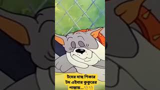 টমের মাছ শিকারটম এইবার কুকুরের পাল্লায়...🧐🧐 #shorts #cartoon #cartoons #tom #jerry