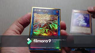 遊戯王OCG RARITY COLLECTION PREMIUM GOLD EDITION　開封動画その１