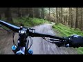 whinlatter black and red mtb. south loop downhill