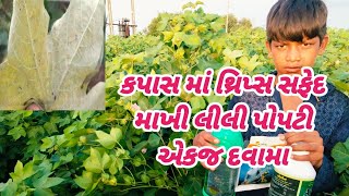 કપાસ માં થ્રિપ્સ સફેદ માખી લીલી પોપટી એક જ દવા માં બધું રિઝલ્ટ Kapash ma trips Lilipapati safedmakhi