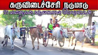 2புதுக்கோட்டை  கருவிடைச்சேரி  நடுமாடு பந்தயம் 10.07,2024