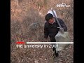 a post 80s rural teacher zhang yugun cctv english