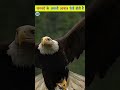 animal sound in real life 😲 जानवरो के असली आवाज shorts youtubeshorts animals