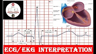 ELECTROCARDIOGRAPHY (ECG/EKG) BASICS| ECG MADE EASY| INTERPRETATION IN 8 STEPS| STANDARD 12 LEAD ECG
