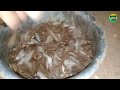 eesal ஈசல் வேட்டை winged termites hunting esal pidipathu eppadi idhu namma village food