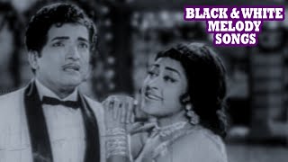 Tamil Black and White Melody Songs | Tamil Evergreen Hit Songs Jukebox | Tamil Classic Songs