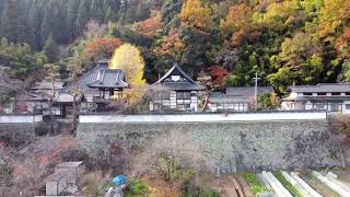 長野県千曲市の大雲寺で紅葉ドローン（DJI Mavic Mini）