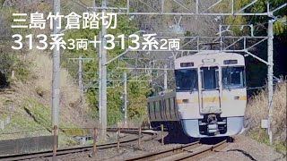 三島竹倉踏切 313系(3両)+313系(2両)