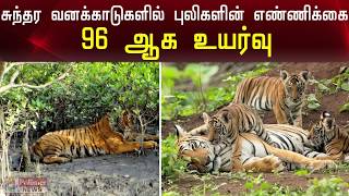 சுந்தர வனக்காடுகளில் புலிகளின் எண்ணிக்கை 96 ஆக உயர்வு