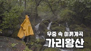 여름철 필수 산행지 한국판 아바타 최대 원시림 이끼계곡!