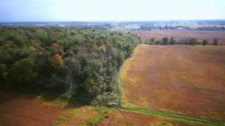 225 Acres - Butts Family Farm Auction