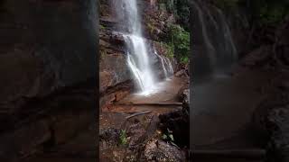 Waterfall Bhadra Wildlife Sanctuary Chikkamagaluru Tarikere Lakkavalli Karnataka #Shorts