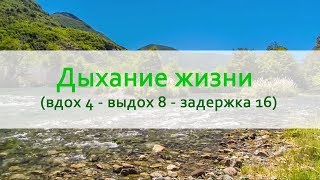 Дыхание жизни (вдох 4 - выдох 8 - задержка 16) на природе