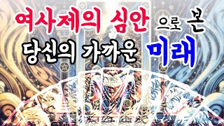 [타로카드] 🧙‍♀️여사제의 심안으로 당신의 가까운 미래를 읽어드립니다🔮