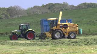 Silage '21 NH FX48 Lifting \u0026 Claas/Massey carting 31st May 2021