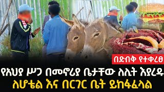 የአህያ ስጋ በመኖሪያ ቤታቸው ጓሮ እያረዱ ለበርገር ቤት እና ለሆቴል ሲያከፋፍሉ ተገኙ | ፈረንጅ አይጥ ይበላል ብለዋል | አጋልጥ