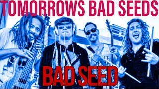 Bad Seeds - @TomorrowsBadSeeds