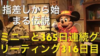 ミニーと365日連続グリーティング316日目〜指差しから始まる伝説〜 my Disney tour day 316 I meet minnie mouse