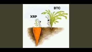 리플 xrp 존버 노하우