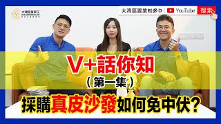 【V+大灣區管家王】V+話你知 | 採購真皮沙發如何免中伏（第一集）