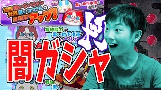 【妖怪ウォッチぷにぷに】子供にもガシャに闇がきたー！  Yo-kai Watch