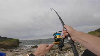 Opening day limit Blackfish(Tautog) on the North shore of Long island