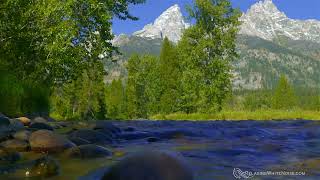 WITHOUT ADS Mountain Stream Water Sounds for Relaxation, Studying or Sleeping White Noise 10 Hours