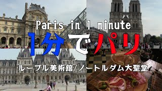 【1分でパリ】ルーブル美術館～ノートルダム大聖堂【一人旅】