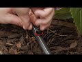 how to remove an end of line micro dripper from irrigation pipe and seal the hole